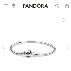 Pandora Charm Bracelet (Moments Snake Chain)